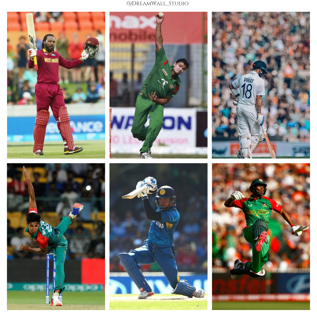Cricket Fever Poster Card