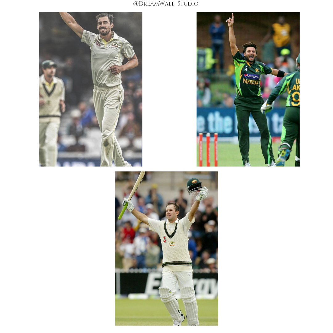 Cricket Fever Poster Card