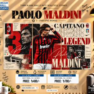 Paolo Maldini 3 Part PVC Wallboard Set