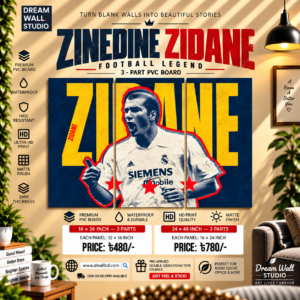 Zinedine Zidane 3 Part PVC Wallboard Set